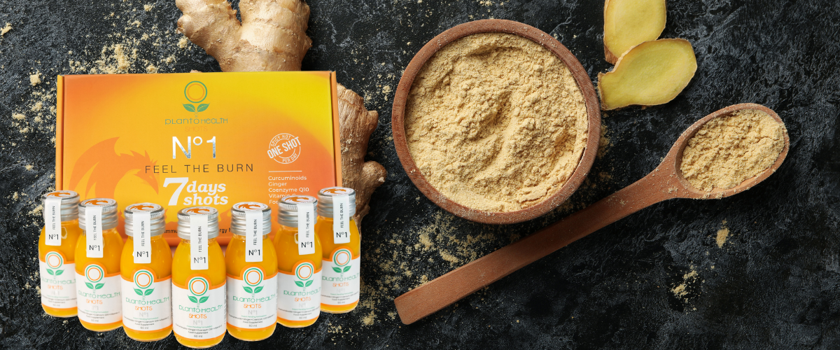 zencefil (ginger ve zerdeçal (kurkumin) shot nasıl yapılır. Modern shot PlantoHealth Shots no.1