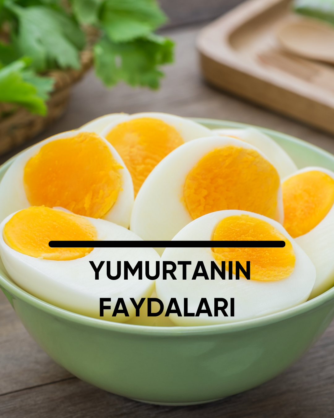 Yumurtanin Faydalari Plantohealthhouse