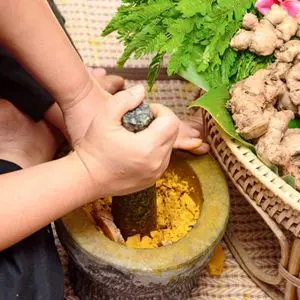 zencefil hindistan ayurveda tibbi