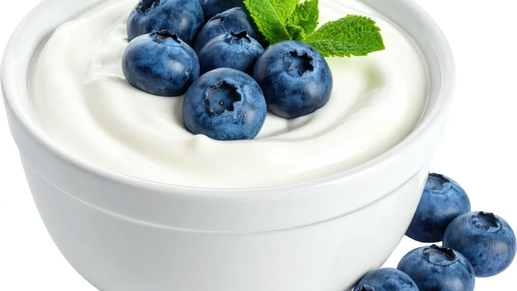 yaban mersinli yogurt tarifi plantohealthhouse