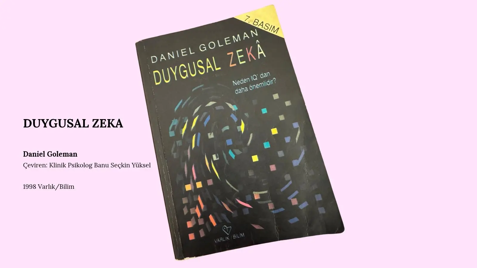Ana Sayfa kitap onerisi duygusal zeka daniel goleman plantohealthhouse